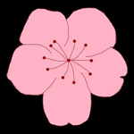 WWW,se629·COM网站APPAPP应用